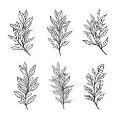 Trendy botanical elements, Hand drawn line leaves branches and blooming