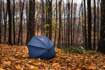 Navy blue umbrella on the golden yellow leaves in rain park or forest. Weather, forecast and autumn