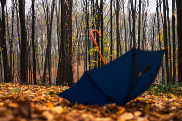Blured blue umbrella on the golden leaves in rain park or forest. Weather, forecast and autumn