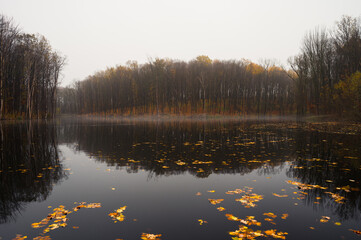 Beautiful foggy autumn landscape with forest on the bank and it`s reflection in lake water