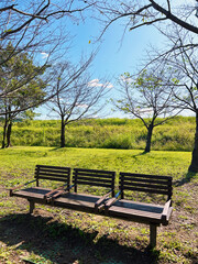 日の当たるベンチ