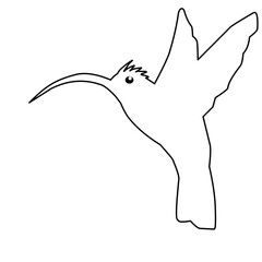 Hummingbird Outline 