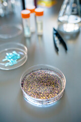 Close up of petri dish with colorful glitter sample mixed in analysis fluid over a table in...