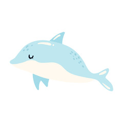 dolphin