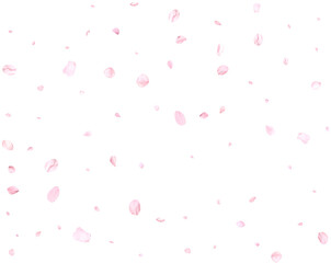 Pink sakura petals. © writerfantast