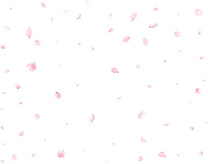Pink cherry petals.
