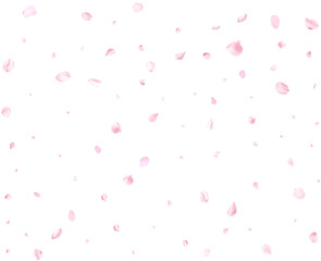 Pink cherry petals.
