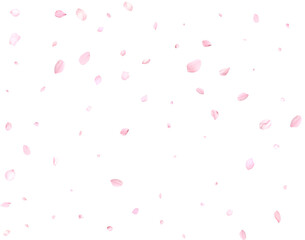 Fototapeta na wymiar Pink cherry petals.