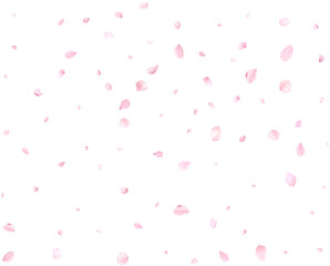 Pink cherry petals.