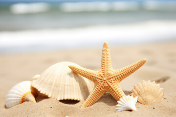 Fototapeta na wymiar starfish and shells on sand