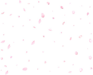 Beautiful cherry petals.