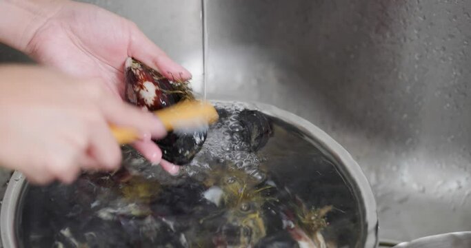 Prepare mussel for cooking in kitchen