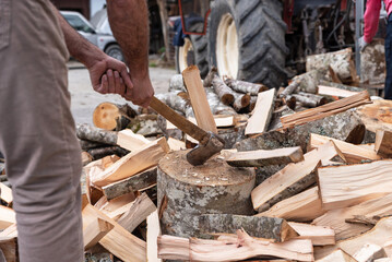 Hit of the ax cutting firewood to heat the next winter