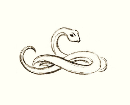 Pencil drawing. Dangerous little snake
