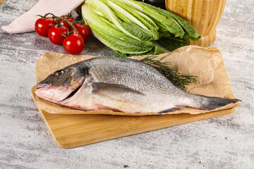Raw dorada fish served rosemary