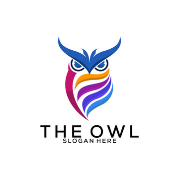 Colorful and Modern owl Logo for company, business, community, team, etc.
