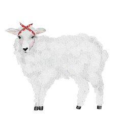 Watercolor drawing, white sheep with a red bandage on its head. Cute illustration for printing on children's educational cards, textiles and tableware. For posters and stickers for boys and girls.