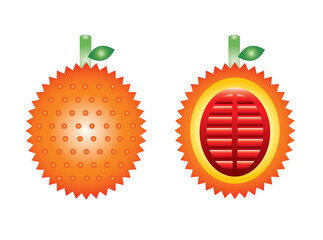 ガックフルーツの表面と断面