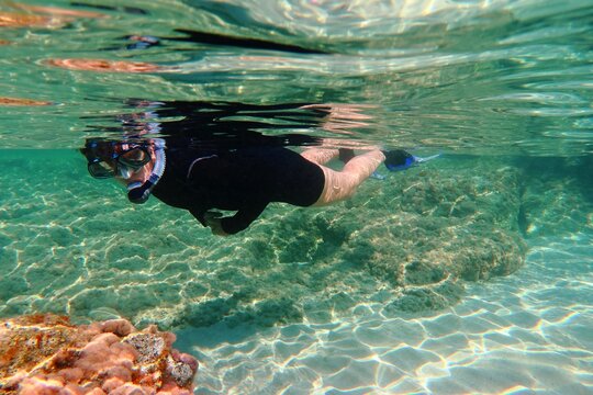 Snorkeler swimming and observing marine life in the ocean. Underwater photography, tourist with mask and snorkel in the sea. Wildlife in the clear water with snorkeler

