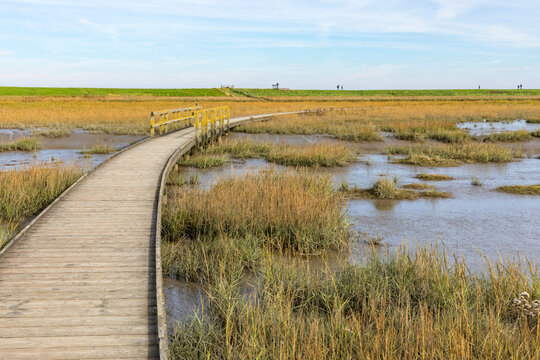 Wooden path at Langwarder Groden, Lower Saxon Wadden Sea National Park, Germany