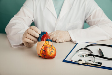 Anatomical model of human heart on a doctor's table. Health check concept