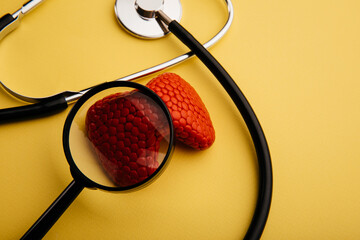 Stethoscope and red model of thyroid gland under magnifying glass on a yellow background