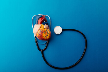 Human heart model with stethoscope on a blue background, top view. Healthy concept