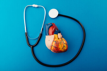Human heart model with stethoscope on a blue background, top view