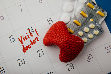 Model of thyroid and pills on calendar with mark visit doctor. Close-up. Healthcare concept