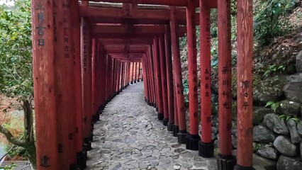 Old red torii gates at Yutoku Inari Shrine in Kyushu, Japan. in Kashima city, Saga Prefecture, Japan