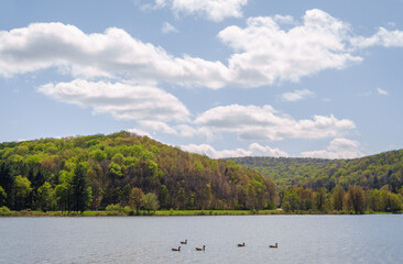 Quaker Lake at Allegany State Park in New York State
