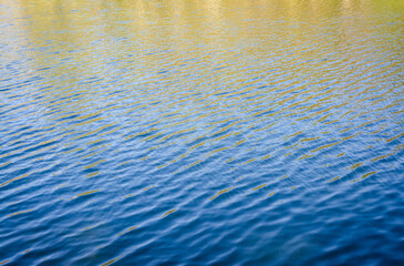 Quaker Lake at Allegany State Park in New York State
