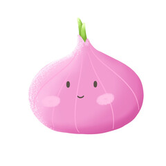 illustration of a pink onion 
