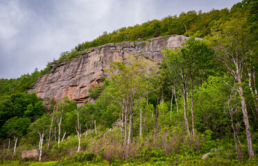 A Forest View at The Adirondacks, New York State