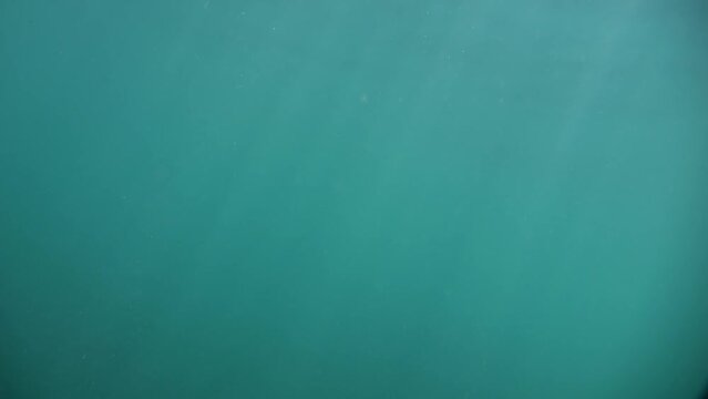 A sun-kissed sea setting captures a slow-motion submersion followed by a rise above the waters.