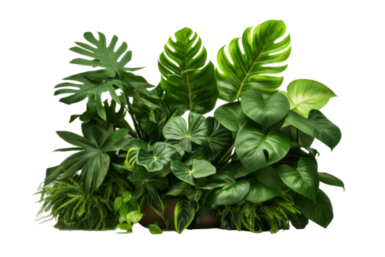 Beautiful green leaves of tropical plants isolated on white background.generative ai
