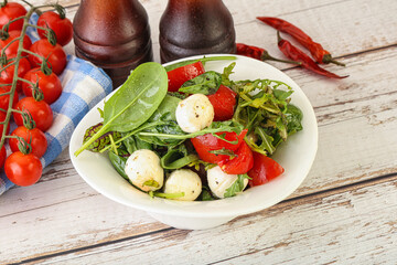 Mix salad with mozzarella and tomato