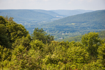 Allegany State Park in New York State