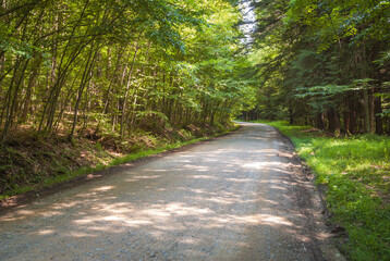 Allegany State Park in New York State
