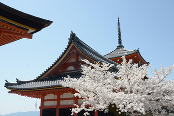 清水寺　経堂と三重塔　京都市 東山区