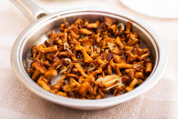 Deliciously fried chanterelle mushrooms in a frying pan