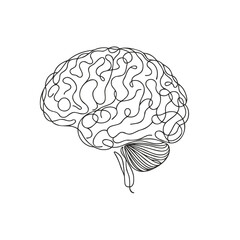 Continuous line art of brain. Simple line art isolated. Vector illustration