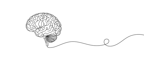 Continuous line art of brain. Simple line art isolated. Vector illustration