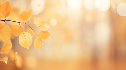Beautiful blurred gentle natural light autumn background.