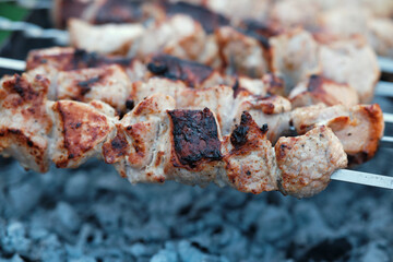 Cooking barbecue pork meat on smoking coals. Shish kebab on the grill.