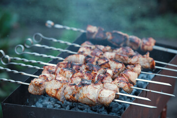 Lots of metal skewers with meat cooking on coals. Cooking pork barbecue.