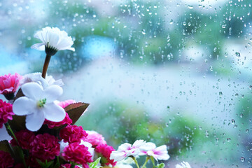 Spring flowers background behind glass with raindrops