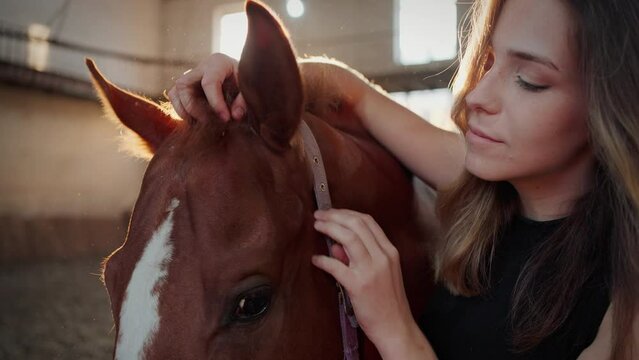 Positive woman embraces horse with white stain at farm