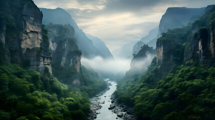 un paysage brumeux représentant une rivière qui coule dans un canyon entouré de forêt - obrazy, fototapety, plakaty
