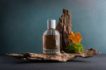 Still life photography of perfume glass bottle in an autumn natural style - obrazy, fototapety, plakaty